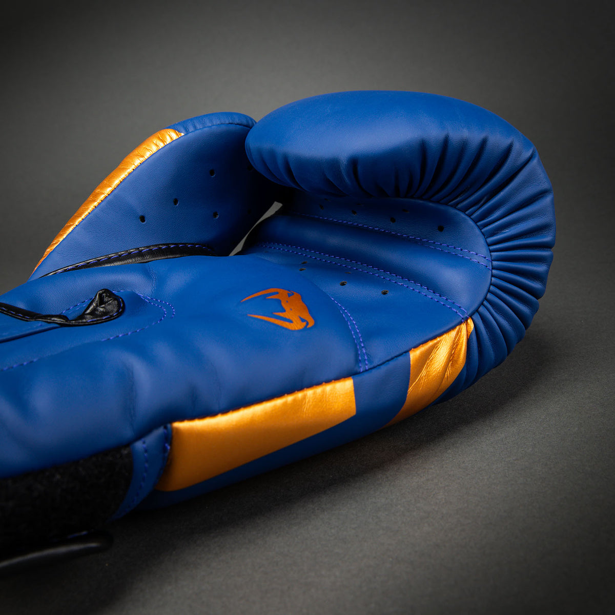 Gants de Boxe Venum Elite - Edition Spéciale - Bleu Royal - product-type_Gants de boxe