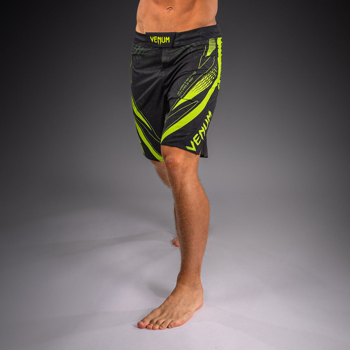 Short de MMA Venum Amazonia Reborn - Noir/Vert - product-type_Shorts de MMA