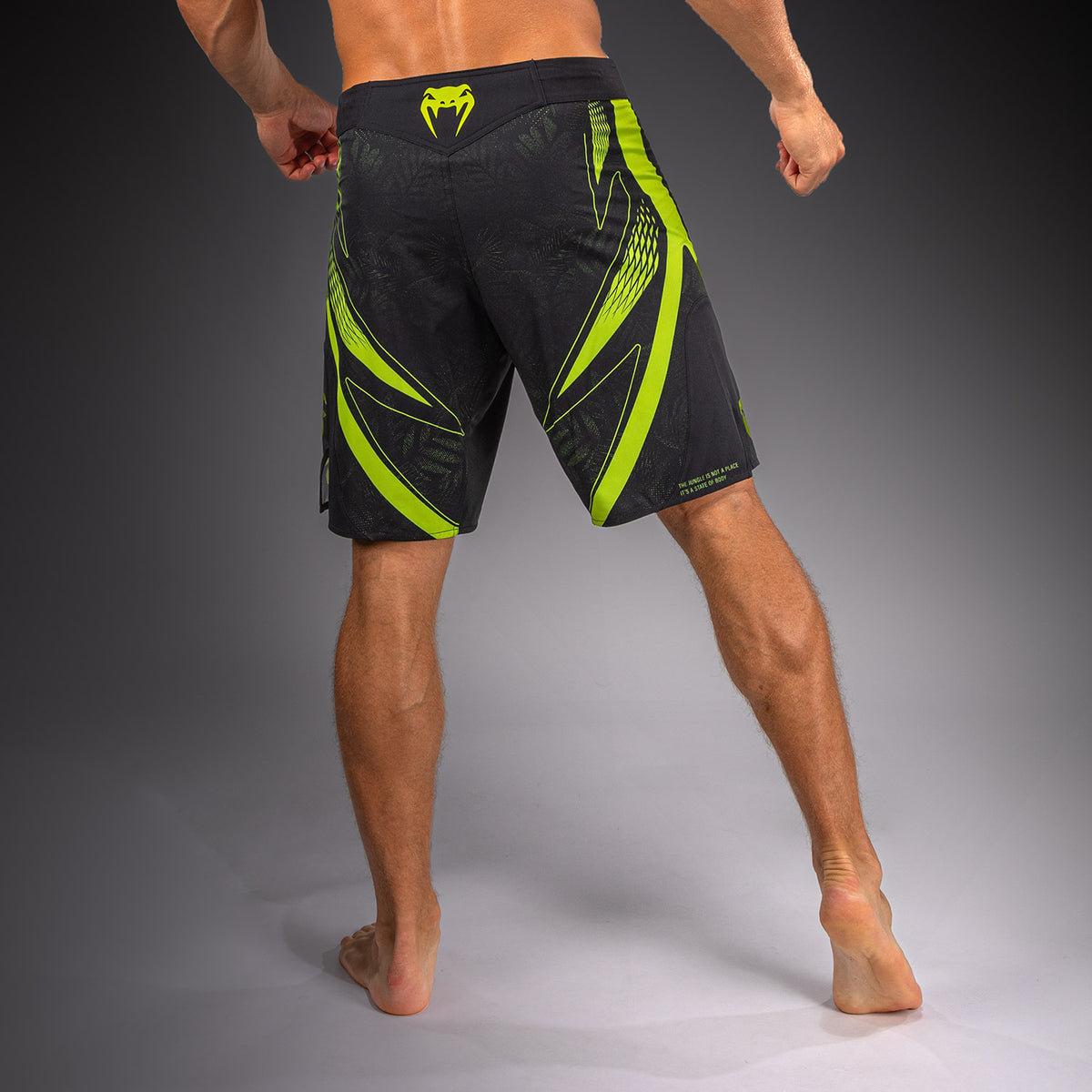 Short de MMA Venum Amazonia Reborn - Noir/Vert - product-type_Shorts de MMA
