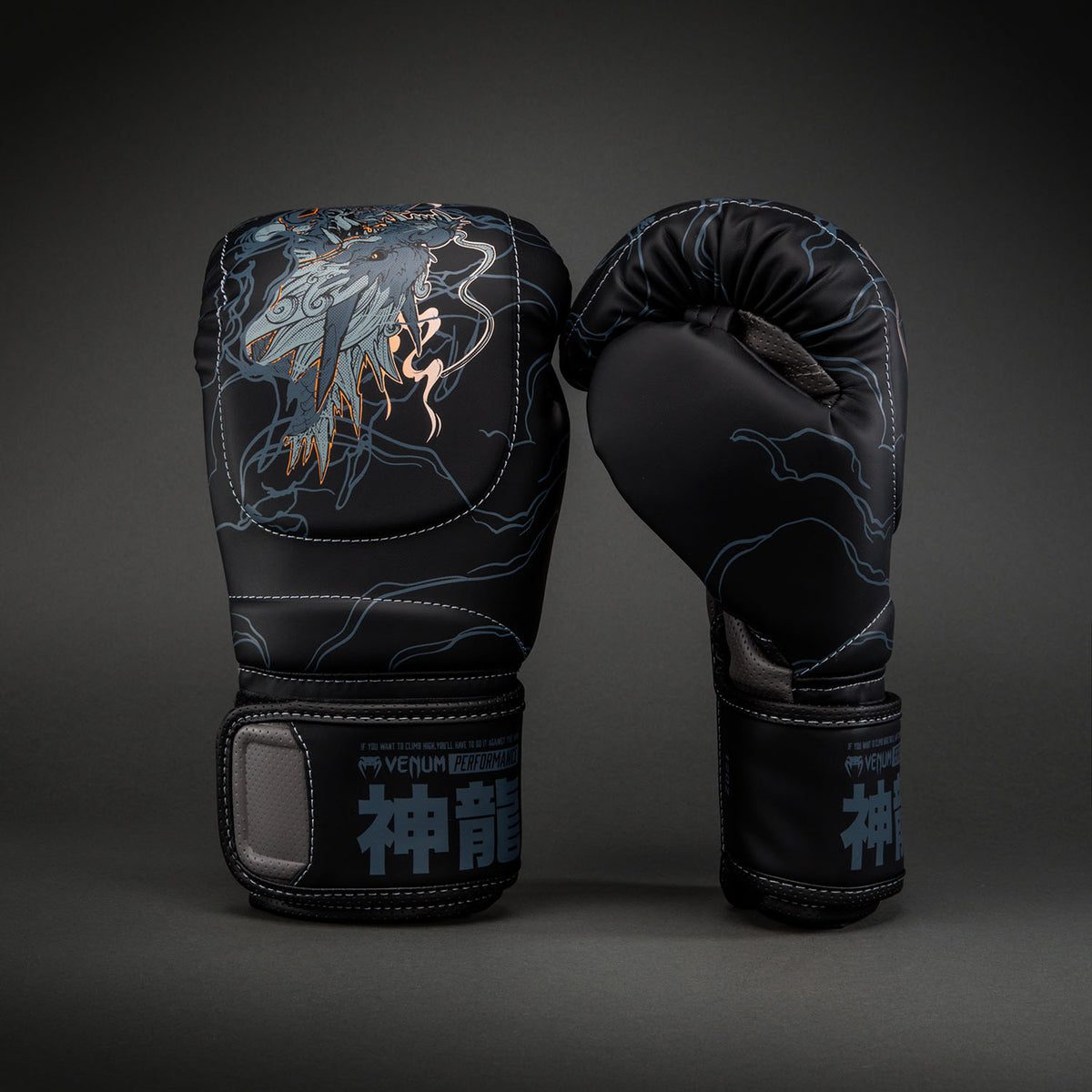Gants de Boxe Impact Evo Venum Thunder Dragon – Noir/Gris/Cuivre - product-type_Gants de boxe