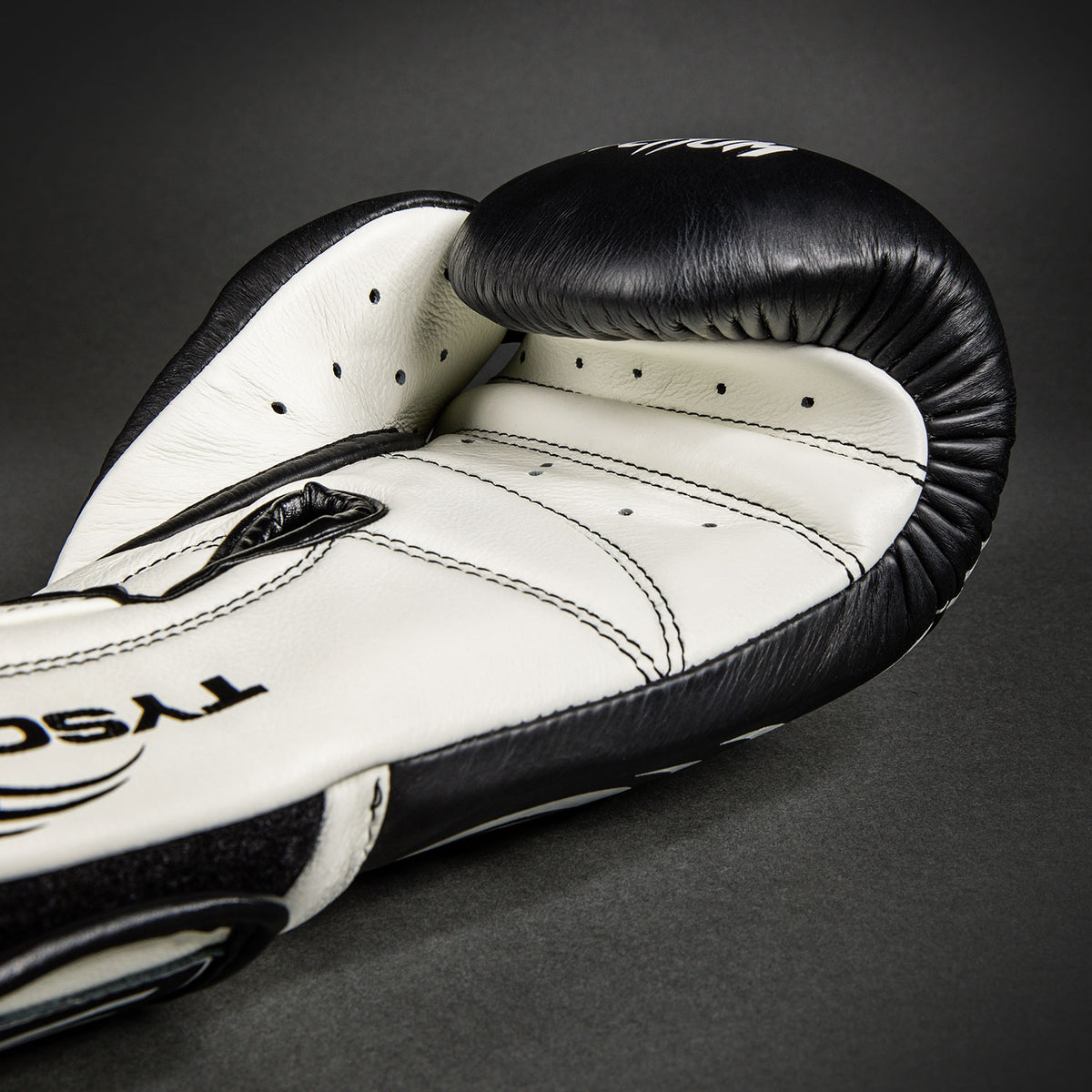 Gants de Boxe Pro Venum Giant 2.0 Mike Tyson - Noir Profond/Blanc Optique - product-type_Gants de boxe
