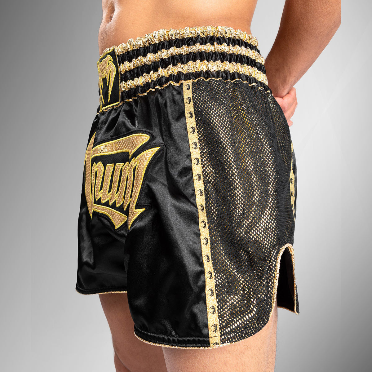 Short de Muay Thai Absolute 2.0 Venum - Noir/Or - product-type_Shorts de Muay Thai