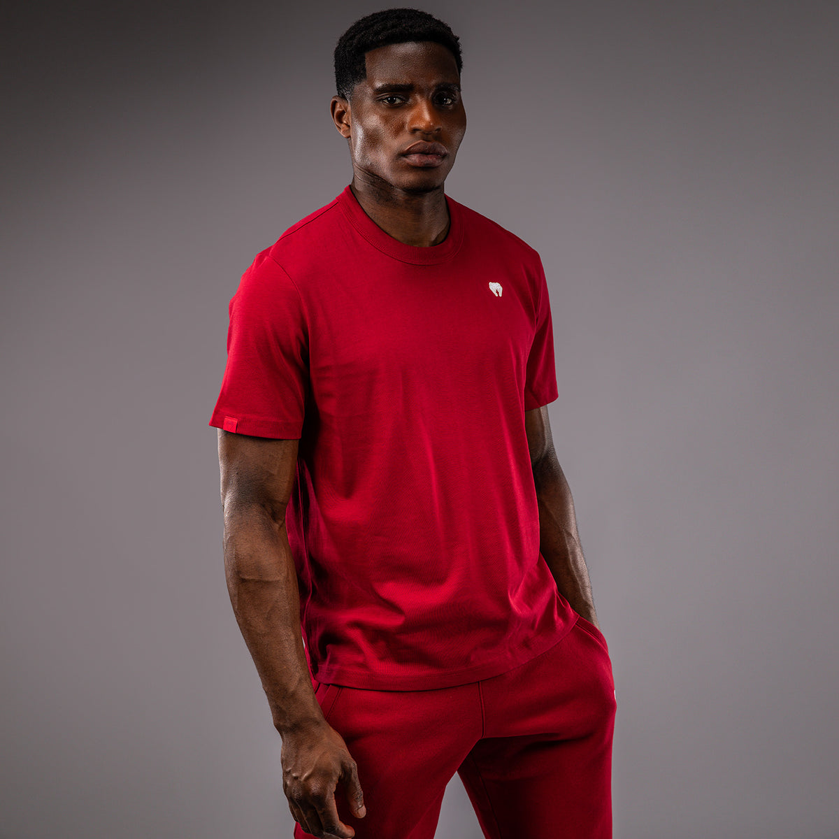 T-Shirt Venum Silent Power - Rouge Cerise - product-type_T-Shirts