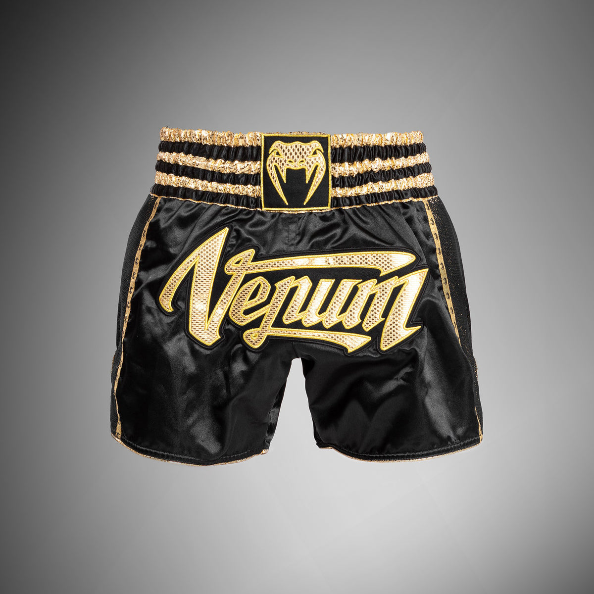 Short de Muay Thai Absolute 2.0 Venum - Noir/Or - product-type_Shorts de Muay Thai