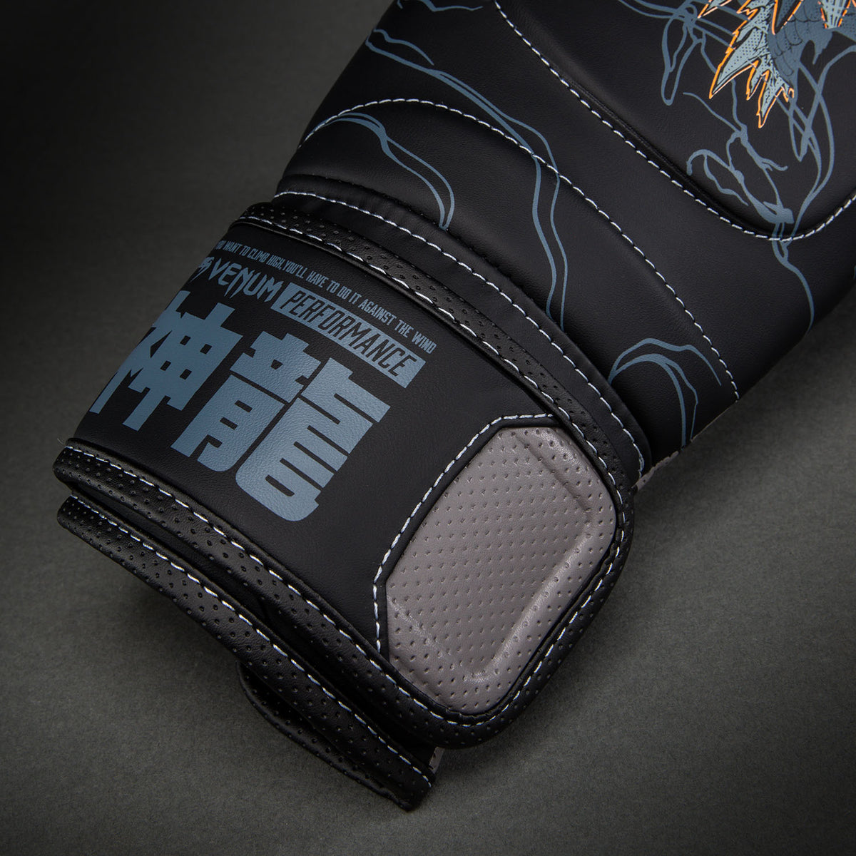 Gants de Boxe Impact Evo Venum Thunder Dragon – Noir/Gris/Cuivre - product-type_Gants de boxe