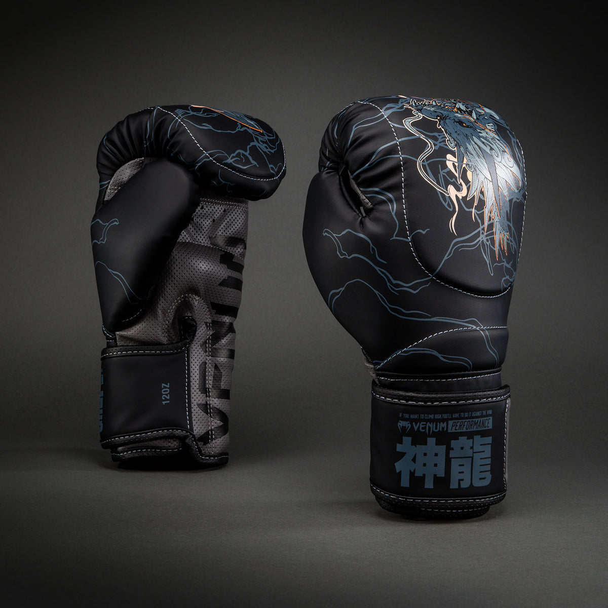 Gants de Boxe Impact Evo Venum Thunder Dragon – Noir/Gris/Cuivre - product-type_Gants de boxe