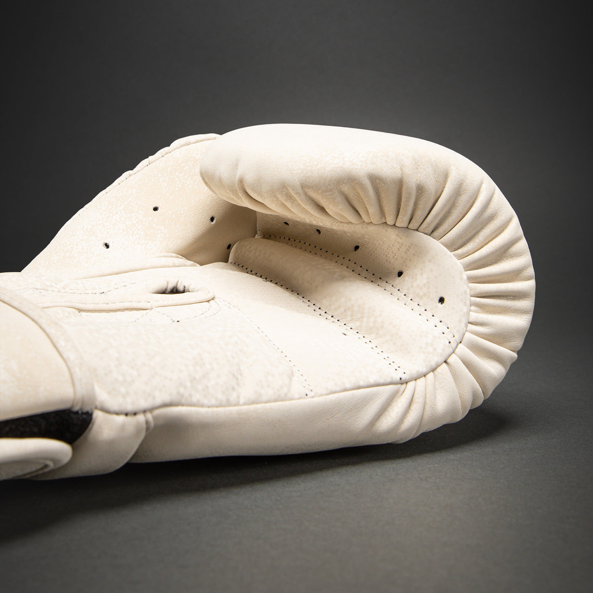 Gants de Boxe Venum Stone 2.0 – Sable - product-type_Gants de boxe