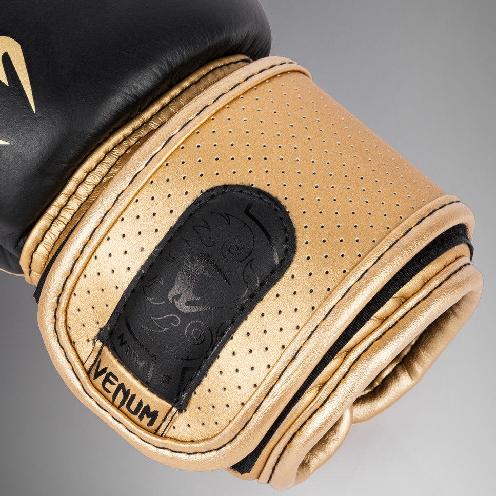 Gants de Boxe Venum Power 2.0 - Noir/Or - product-type_Gants de boxe