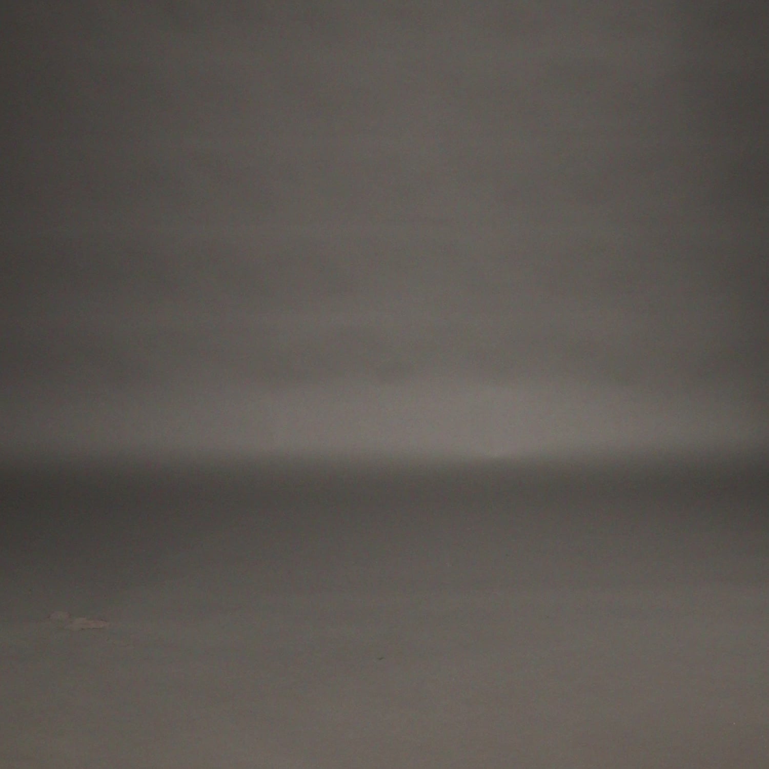 Short de Combat Venum Crimson Viper 2.0 - Noir/Gris - product-type_Shorts de MMA