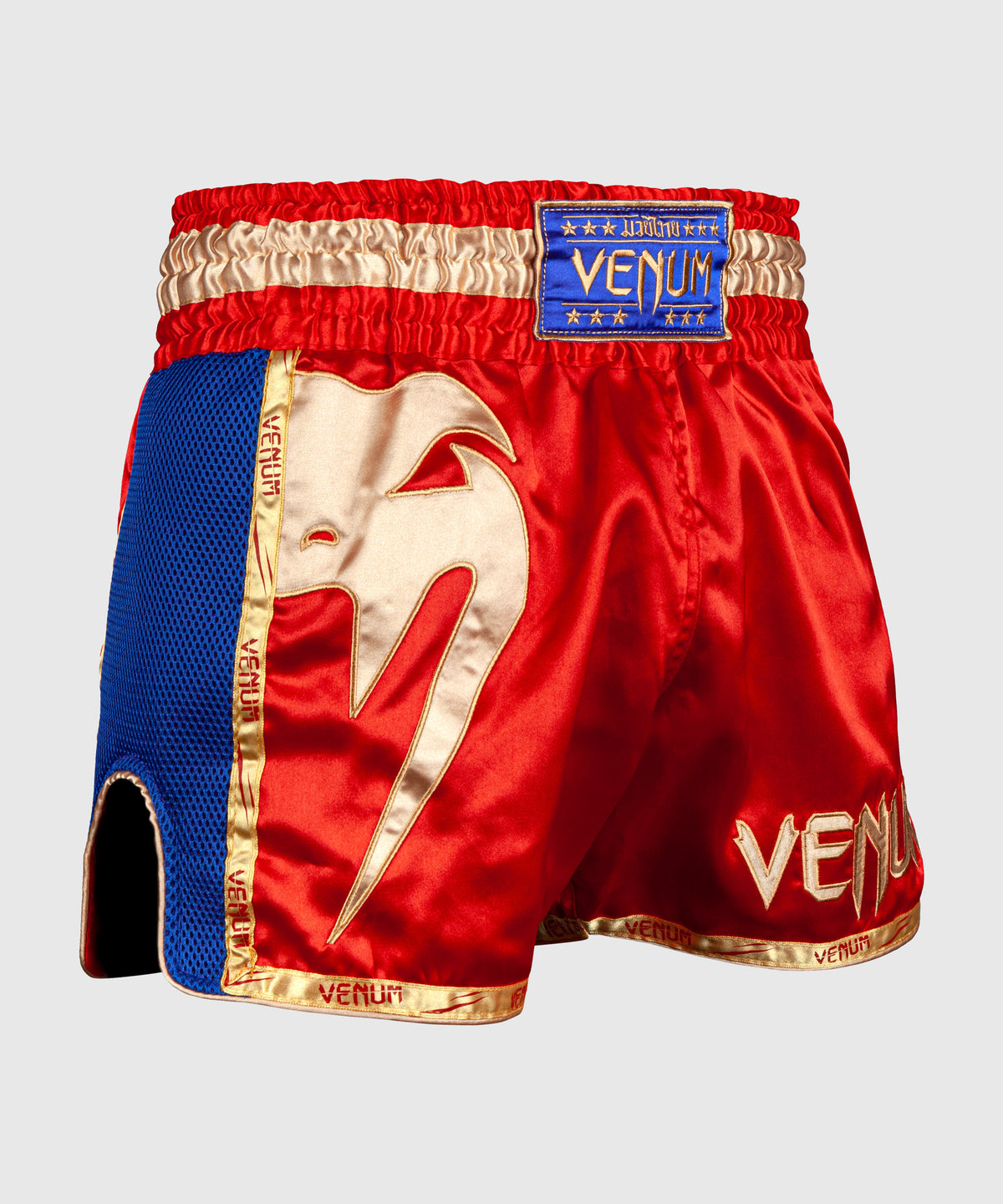 Short de Muay Thai Venum Giant - Shorts de boxe thaï